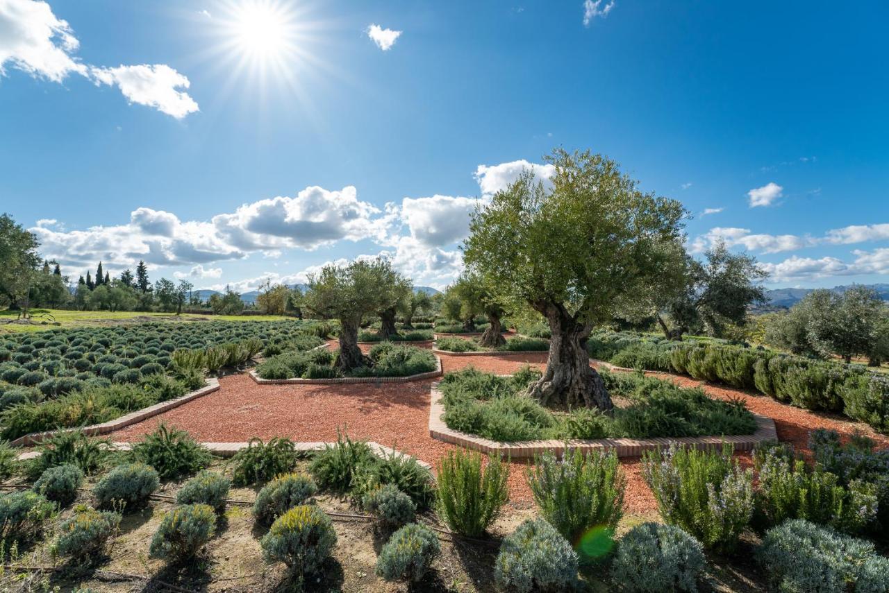 Cortijo La Organic Hotell Ronda Eksteriør bilde
