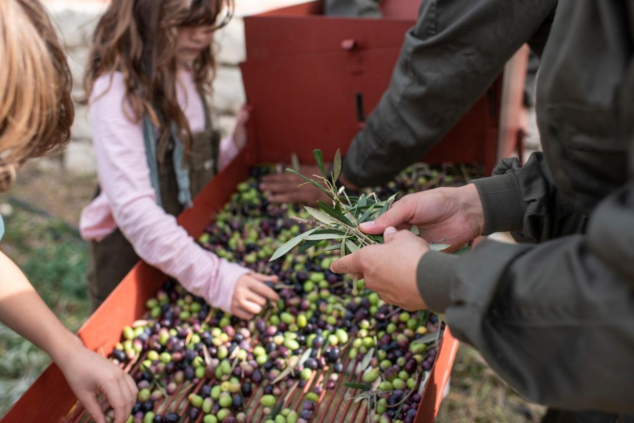 Cortijo La Organic Hotell Ronda Eksteriør bilde